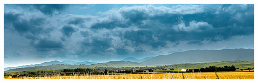 French Countryside